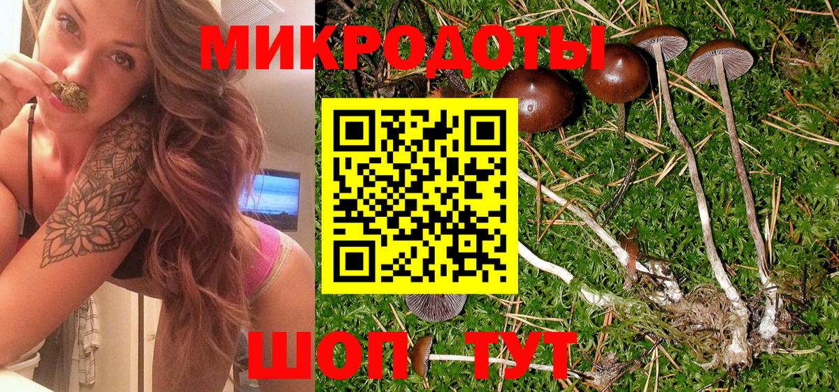 Галлюциногенные грибы прущие грибы Новозыбков